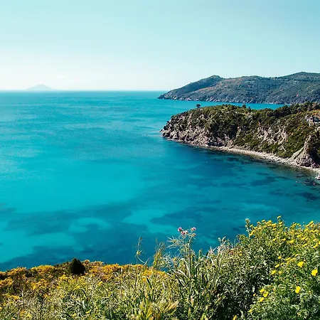 Golfo Della Lacona-1 By Interhome Appartamento *